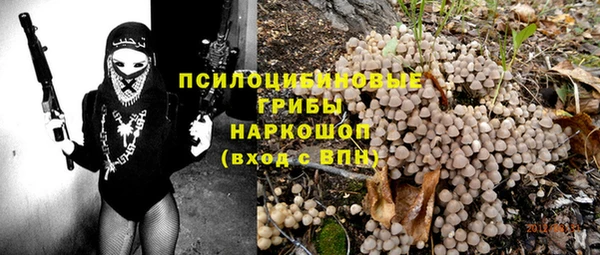 стаф Заволжск