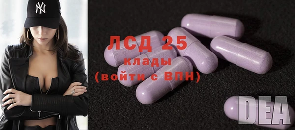 индика Зеленокумск