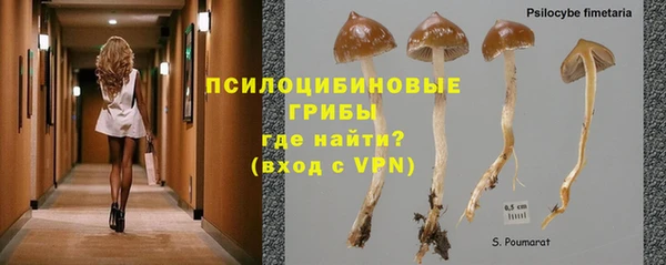 спиды Заволжье